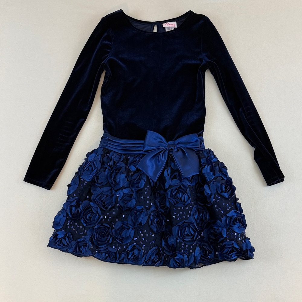 Bloom Navy Velvet Dress